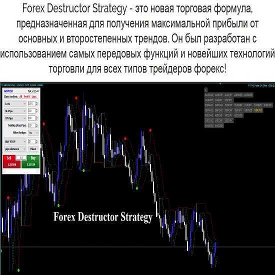 strategiya forex destructor 2019 5eaef8a85b645