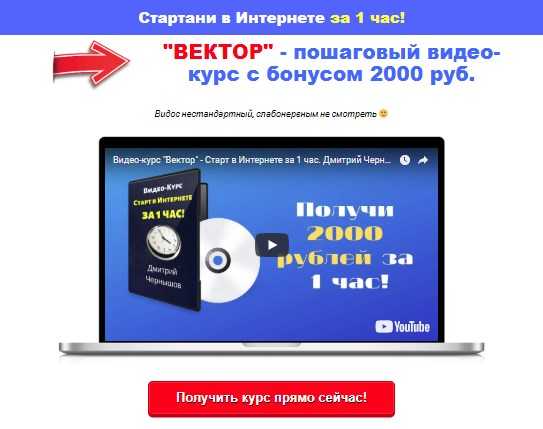 dmitrij chernyshov vektor poshagovyj video kurs s bonusom rub bd